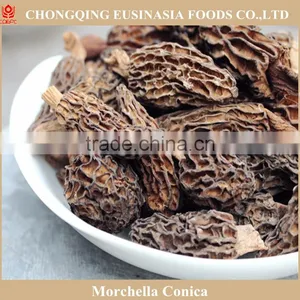 Market Prices for Wild Mushroom,morel Mushroom Price thumbnail-2