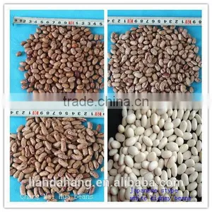 ADZUKI BEAN thumbnail-4