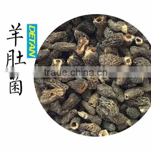 Frozen Processing Type Morels thumbnail-6