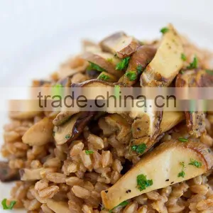 Detan Dried Porcini Mushrooms for Sale thumbnail-4