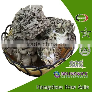 Maitake Beta 1,3/1,6 D Glucan, Maitake Mushroom Extract thumbnail-1