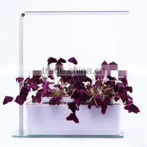 Leaves Flower Lamps thumbnail-1
