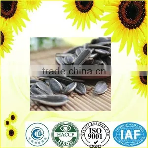 Factory Direct Sale Edible Sunflower Seed 5009 Ton Price thumbnail-2