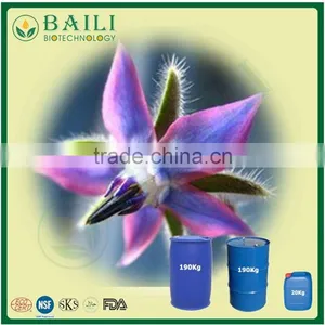 NSFessential Borage Oil thumbnail-1