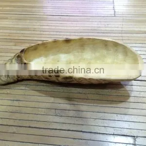 Root Carving thumbnail-3