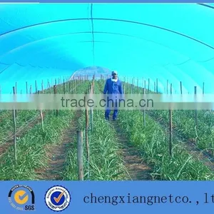 Green House Used HDPE Polytunnel Covers thumbnail-1