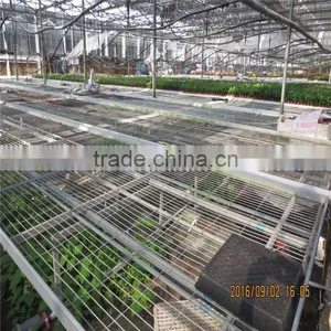 Agriculture Green House With Galvanized Steel Pipe thumbnail-5