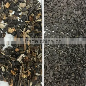 Good Performance Ccd Sunflower Seed Color Sorter Machine in China thumbnail-5