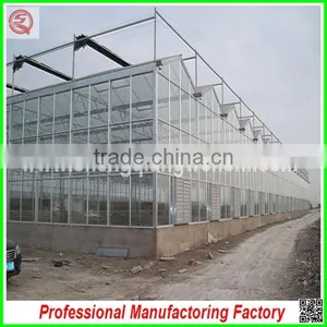 China Supplier Agriculture Farm Multi-span Glass Greenhouses for Hot Sale thumbnail-3