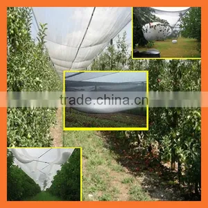 50gsm Apple Tree Anti Hail Net thumbnail-1