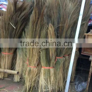 Grass Broom Raw Material Season 2017 thumbnail-1