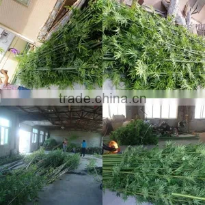 SJWS2015032404 Guangzhou Manufacturer Whole Sell Customized Garden Decoration Artifcial Fake Bamboo Tree thumbnail-5