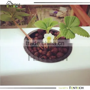 NFT Hydroponics Systems Square Post thumbnail-1