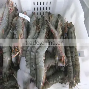 Frozen Shrimp Dinners thumbnail-1