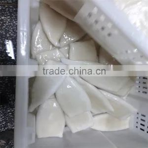 Pacific Squid Tube Frozen thumbnail-3