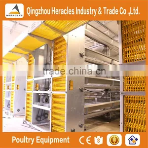Trade Assurance Automatic Poultry Equipment/layer Chicken Cage thumbnail-6