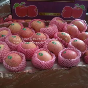 Chinese Fuji Apple thumbnail-4