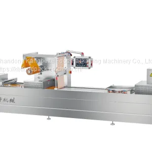 Thermoforming Packing Machine DRZ420 Automatic Packaging Machine for Food thumbnail-3