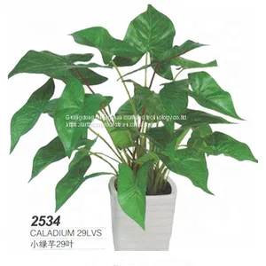 China Wholesale Artificial Caladium Tree Bonsai for Decoration With Real Looking Leaves thumbnail-1
