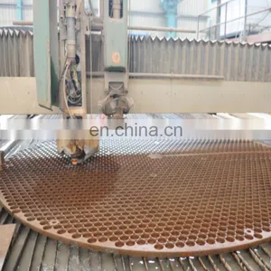 Custom Carbon Steel, SS 304/316 Forged Tubesheet, Baffle, Heat Exchanger Tube Sheet thumbnail-4