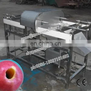 0086-18037101692 Fruit Peeling Machine_fruit Skin Remover_fruit and Vegetable Peeling Machine thumbnail-4