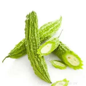 Strong Disease Resistant High Yield Bitter Gourd Seeds for Planting No.75 thumbnail-1