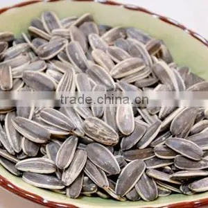 High Quality Unsalted Roasted Sunflower Seeds thumbnail-1