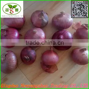 Red Onion/Shallot/Red Scallions -(website:qdxinyangshan03) thumbnail-1