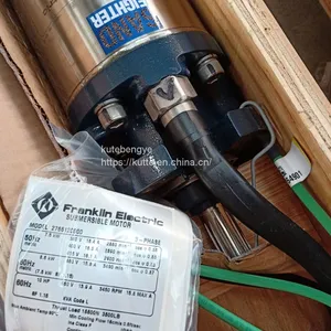 Franklin Deep Well Pump thumbnail-1