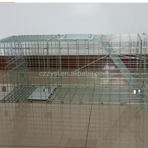 Double Door Entry Collapsible Animal Trap Cage Possum Cat Folding Live Animal Cage Trap thumbnail-6