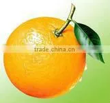 Cherry Tomato Grading Machine/Tomato Grading Machine thumbnail-5