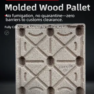 Dedicated Molded Wood Pallets for Sea Freight: Water-Resistant, Mold-Resistant, Fumigation-Free, and Facilitating Rapid Customs Clearance thumbnail-2