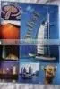 2010 Iron On Heat Transfer Sticker & Film for T-shirt ,fabric ( Transfer Sticker ) thumbnail-1