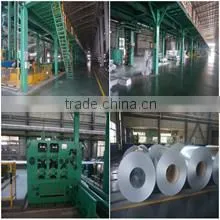 Shandong Malike Imp.& Exp. Co., Ltd. company overview - view 1 thumbnail