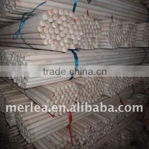Broom Bristle thumbnail-1