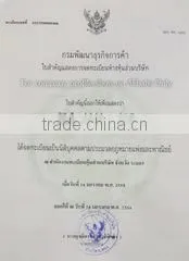 Thaipaperflowers.co,ltd. company overview - view 1 thumbnail