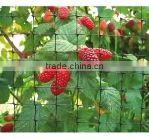 Bird Protection Net thumbnail-1