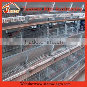 Stable Steel Structure Professional Chicken Egg Layer Cage Chicken Egg Layer House thumbnail-1