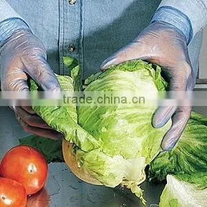 Disposal Plastic Gloves for Food thumbnail-1