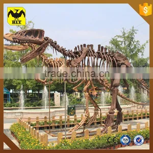 HLT Fiberglass Dinosaur Skeleton for Science Musem Equipment thumbnail-2