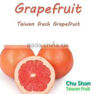 Fresh Grapefruit Best Price thumbnail-3