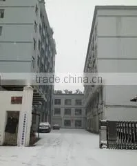 Xinchang Chengtan Magic Bean & Grass Doll Artware Factory company overview - view 1 thumbnail