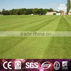Unique Design Hot Sale Customized Four Color Synthetic Grass Lawns For Balcony thumbnail-5