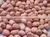 INDIAN PEANUT KERNELS thumbnail-1