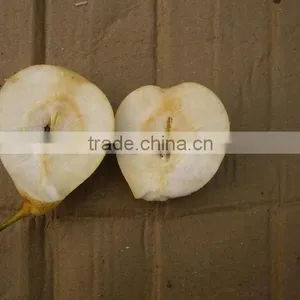 Ya Pear China 2014 thumbnail-1