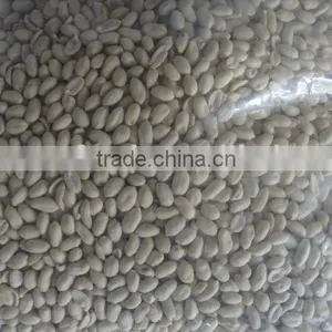 Blanched Groundnut Kernels thumbnail-1