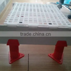 2014 Best Price Plastic Floor for Chicken thumbnail-1