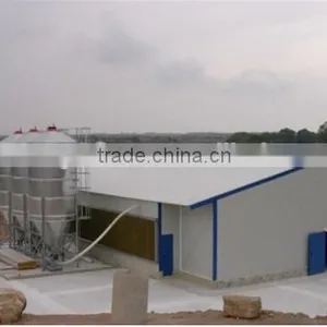 Steel Frame Type and Steel Material Metal Poultry Shed/galvanized Chicken Equipments Shed /chicken House Shed thumbnail-1