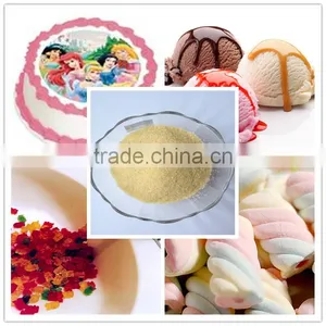 Edible Halal Bone Gelatin Candy Halal Gelatine Edible Bovine Gelatin thumbnail-1