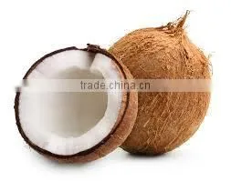 VIETNAM COCONUT - KeGo Co., Ltd thumbnail-2